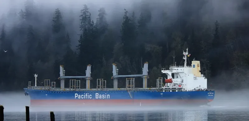 ASTORIA BAY Bulk Carrier IMO 9317482 photo 3