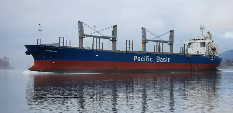 ASTORIA BAY Bulk Carrier IMO 9317482 photo 5