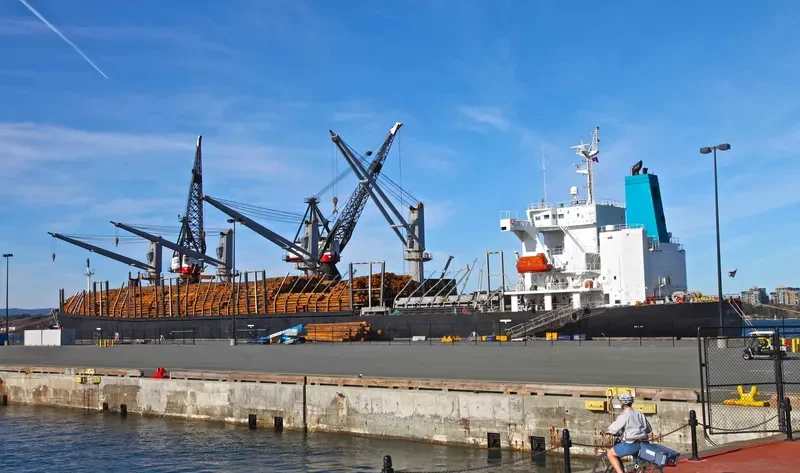 ASTORIA BAY Bulk Carrier IMO 9317482 photo 8