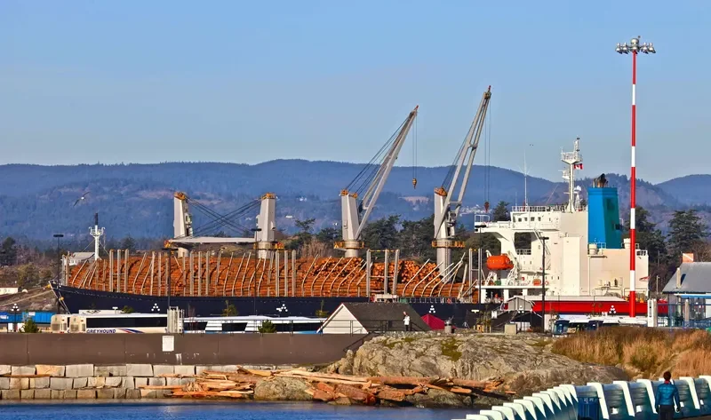 ASTORIA BAY Bulk Carrier IMO 9317482 photo 9