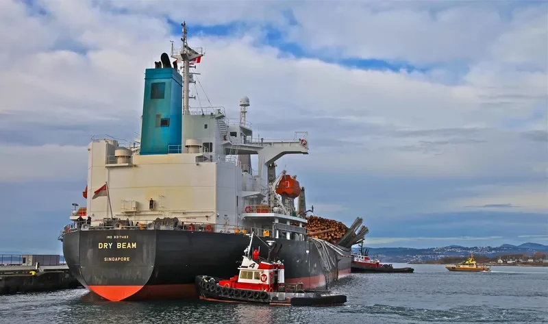 ASTORIA BAY Bulk Carrier IMO 9317482 photo 10