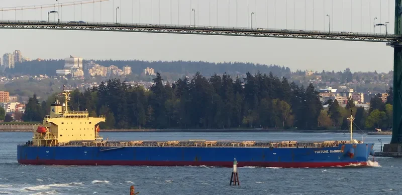 ASL URANUS Bulk Carrier IMO 9317511 photo 9