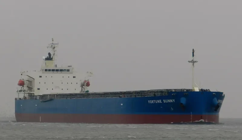STL MIRACLE Bulk Carrier IMO 9317523 photo 5