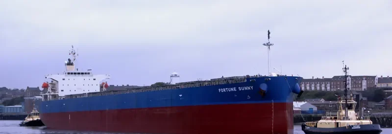 STL MIRACLE Bulk Carrier IMO 9317523 photo 9