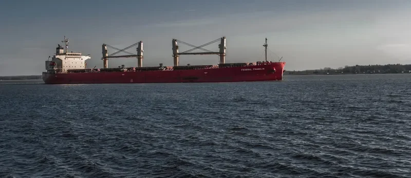 SEA FORTRESS Bulk Carrier IMO 9317547