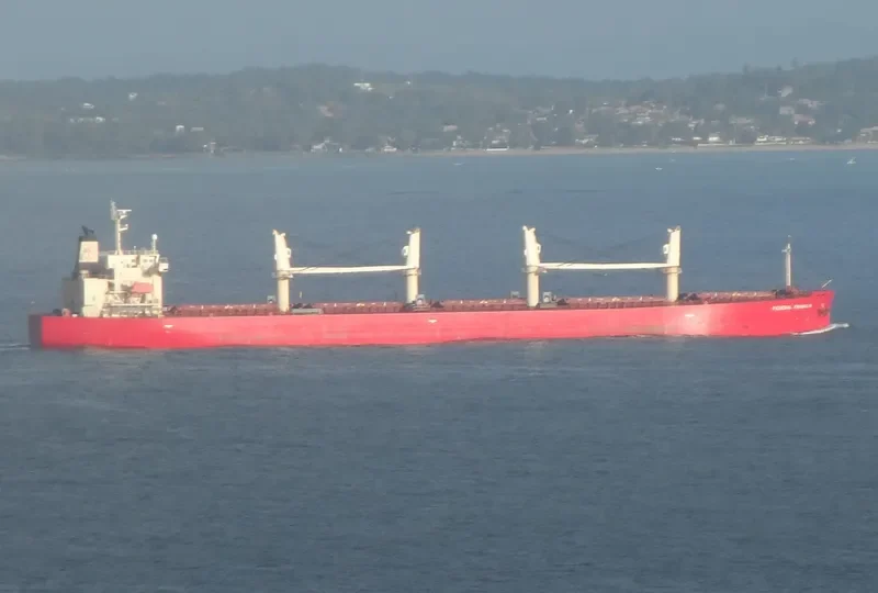 SEA FORTRESS Bulk Carrier IMO 9317547 photo 3