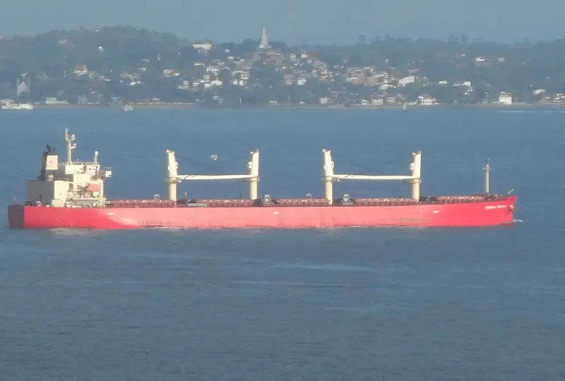 SEA FORTRESS Bulk Carrier IMO 9317547 photo 4