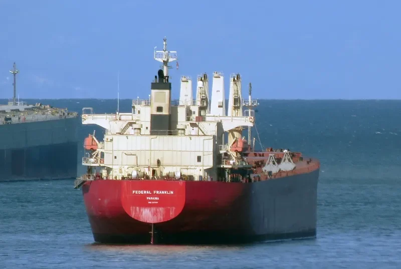 SEA FORTRESS Bulk Carrier IMO 9317547 photo 8