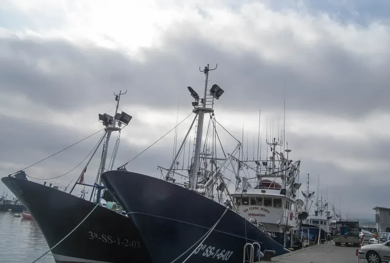 SAN FERMIN BERRIA General Cargo IMO 9317614
