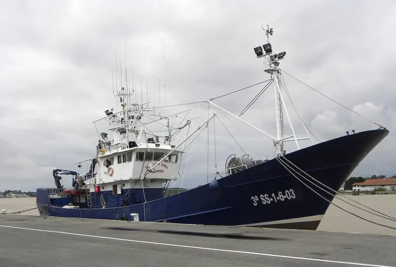 SAN FERMIN BERRIA General Cargo IMO 9317614 photo 4