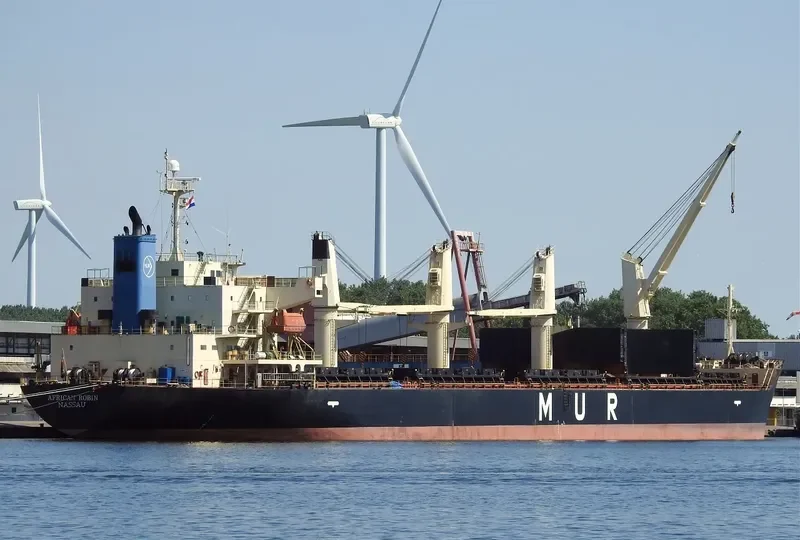 AFRICAN ROBIN Bulk Carrier IMO 9317767 photo 3