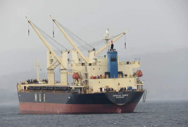 AFRICAN ROBIN Bulk Carrier IMO 9317767 photo 5