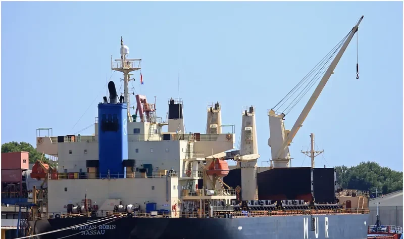 AFRICAN ROBIN Bulk Carrier IMO 9317767 photo 7
