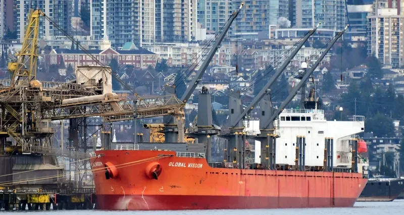 GLOBAL WISDOM Bulk Carrier IMO 9317781