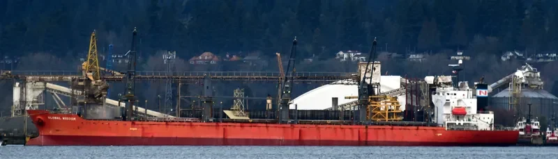 GLOBAL WISDOM Bulk Carrier IMO 9317781 photo 3