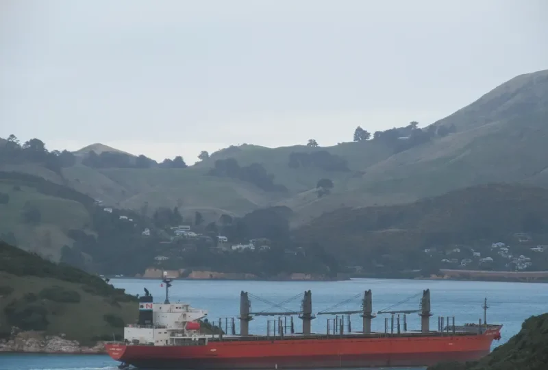 GLOBAL WISDOM Bulk Carrier IMO 9317781 photo 5