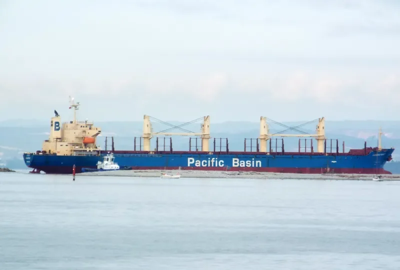 LUZON STRAIT Bulk Carrier IMO 9317793