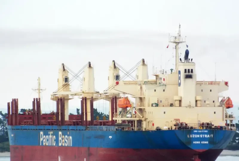LUZON STRAIT Bulk Carrier IMO 9317793 photo 2