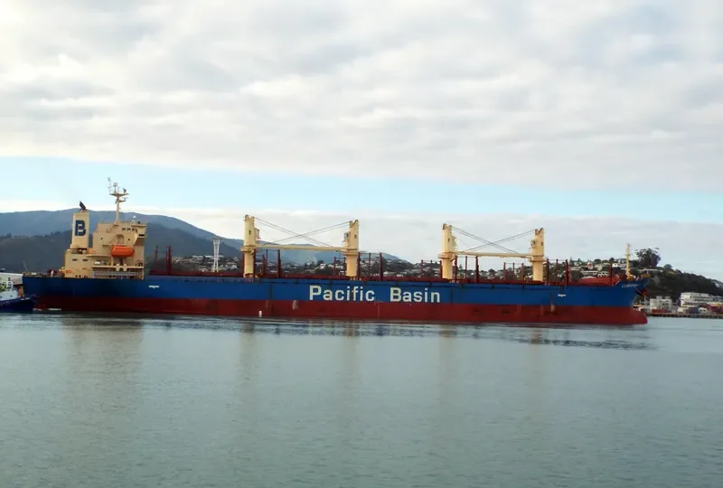 LUZON STRAIT Bulk Carrier IMO 9317793 photo 5