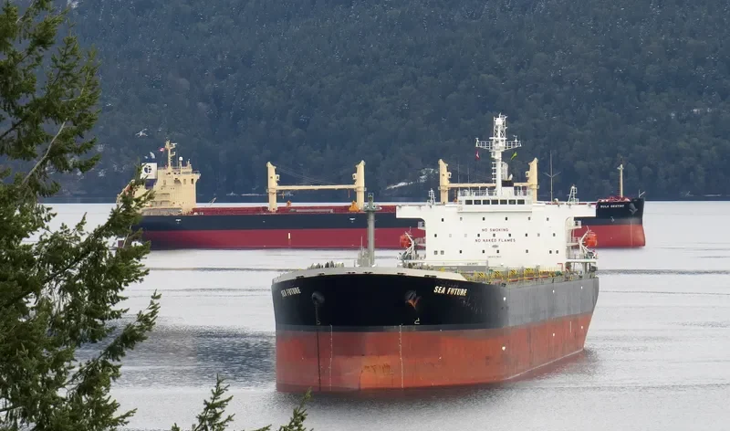 SEA FUTURE Bulk Carrier IMO 9317810 photo 7