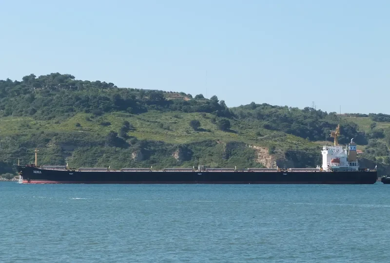 XENIA Bulk Carrier IMO 9317834