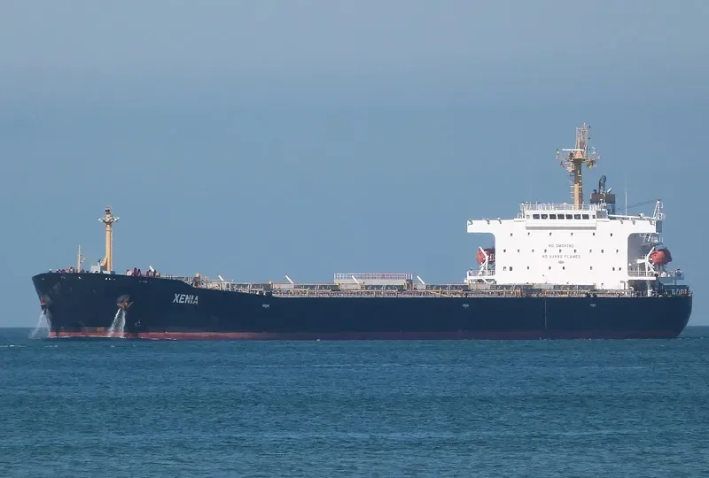 XENIA Bulk Carrier IMO 9317834 photo 2