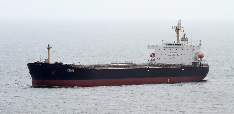 XENIA Bulk Carrier IMO 9317834 photo 8