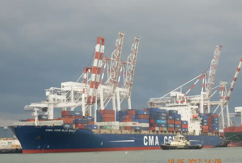 CMA CGM BLUE WHALE Container Ship IMO 9317963 photo 10