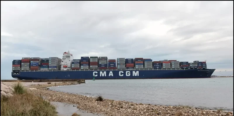 CMA CGM DON PASCUALE Container Ship IMO 9318101 photo 9