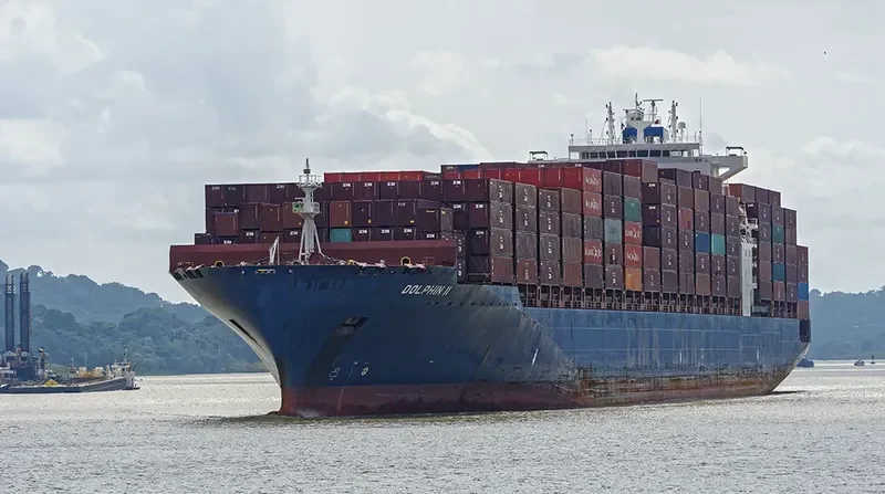 DOLPHIN II Container Ship IMO 9318125 photo 2