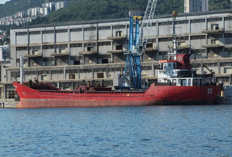 YILMAZ DENIZ General Cargo IMO 9318278 photo 5