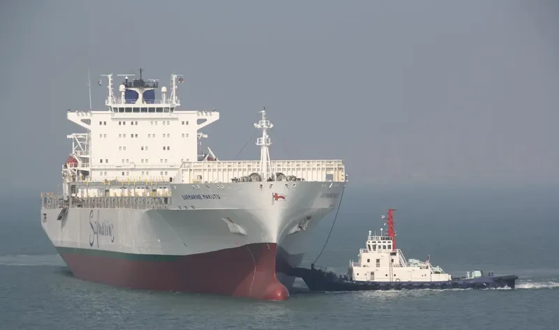 SAFMARINE MAKUTU Container Ship IMO 9318319
