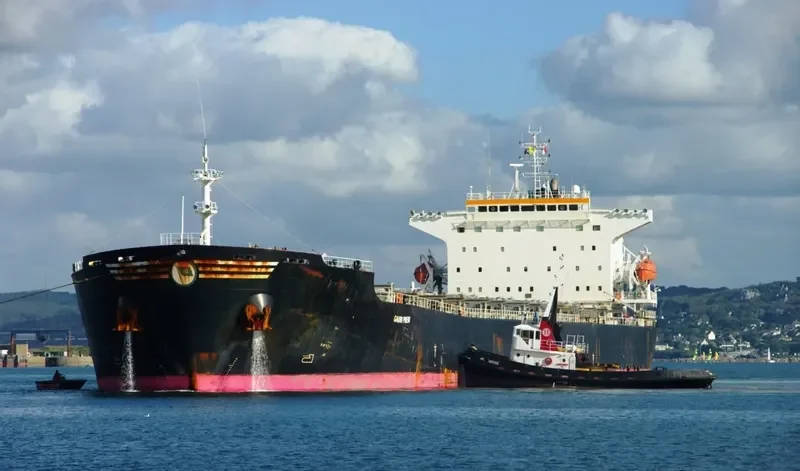 THE LIVING Bulk Carrier IMO 9318369 photo 6
