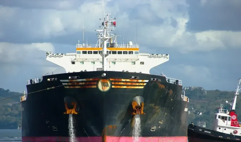 THE LIVING Bulk Carrier IMO 9318369 photo 7