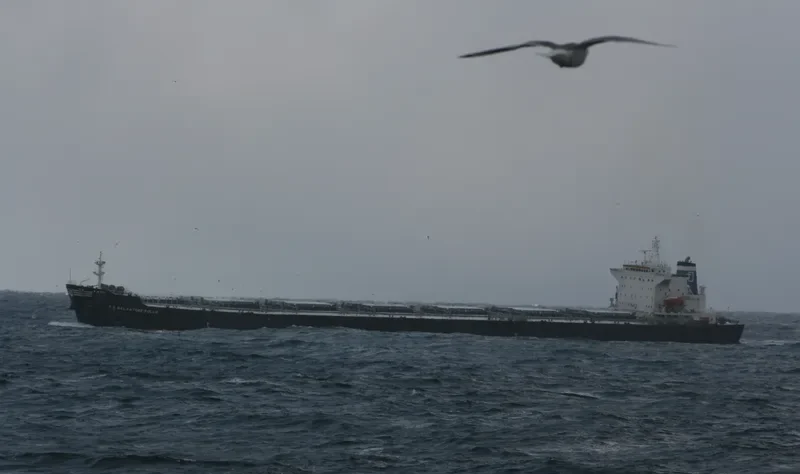 THE LIVING Bulk Carrier IMO 9318369 photo 8