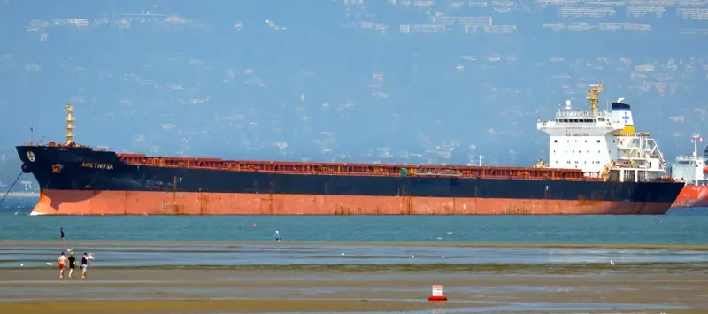 ARETHUSA Bulk Carrier IMO 9318591 photo 9