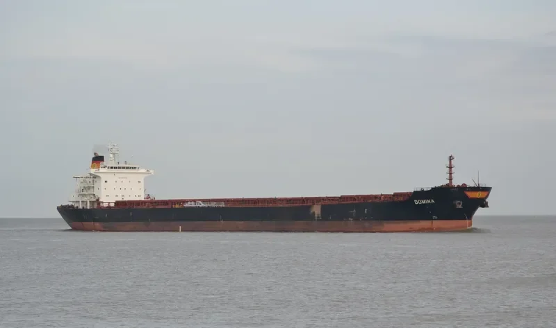THE WISE Bulk Carrier IMO 9318606