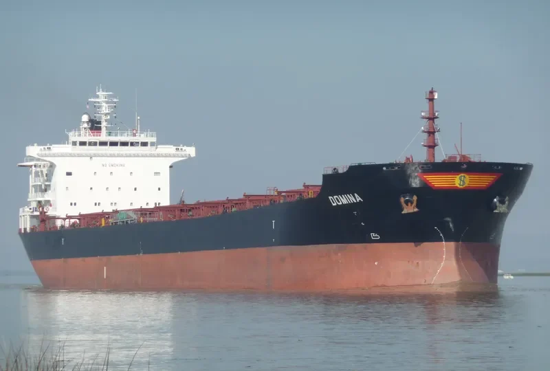 THE WISE Bulk Carrier IMO 9318606 photo 2