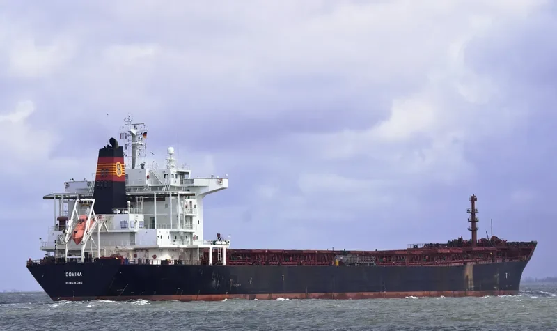 THE WISE Bulk Carrier IMO 9318606 photo 6