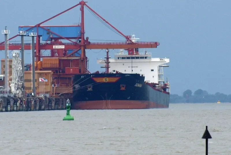 THE WISE Bulk Carrier IMO 9318606 photo 9
