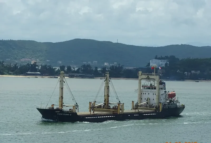 VIEN DONG 3 General Cargo IMO 9318670