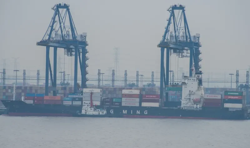 YM IDEALS Container Ship IMO 9319129 photo 5