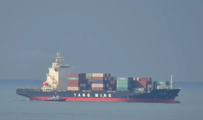 YM INCREMENT Container Ship IMO 9319143 photo 3