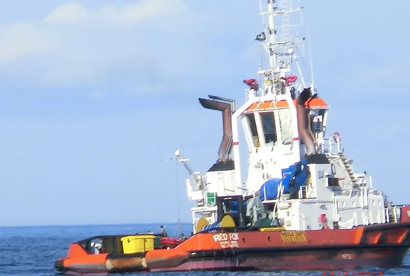 RED FOX General Cargo IMO 9319193