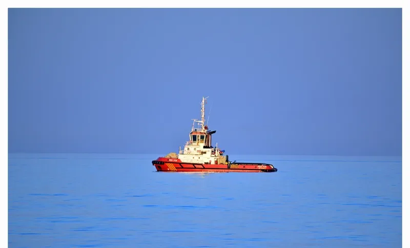 RED FOX General Cargo IMO 9319193 photo 8