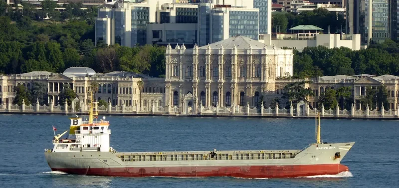 SAFIYE ANA General Cargo IMO 9319947 photo 7