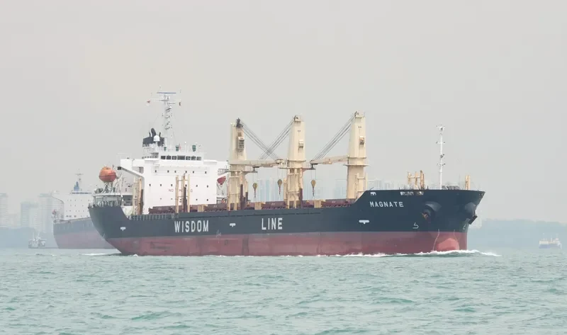 MAGNATE Bulk Carrier IMO 9320269 photo 2