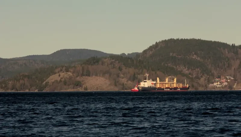 MAGNATE Bulk Carrier IMO 9320269 photo 4