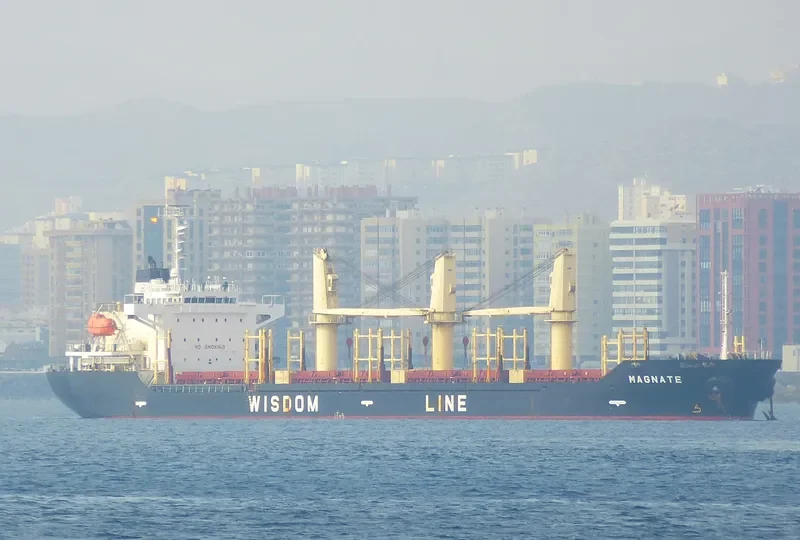 MAGNATE Bulk Carrier IMO 9320269 photo 6