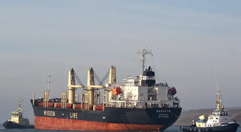 MAGNATE Bulk Carrier IMO 9320269 photo 9
